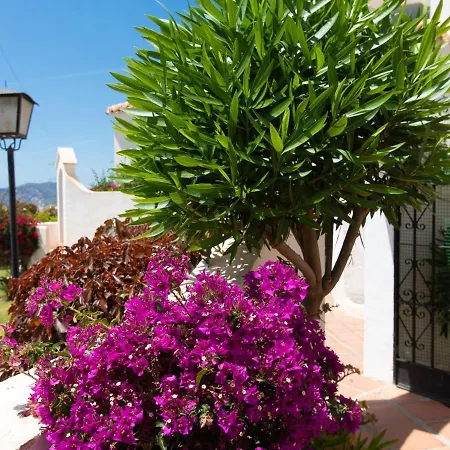 Golondrinas By Interhome בית נופש נרחה